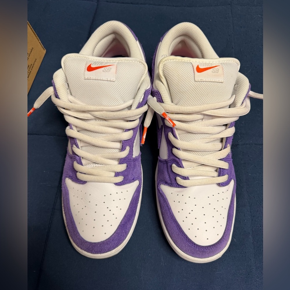 New Nike SB Dunk Low Pro ISO